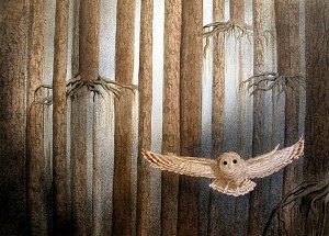 Ruth Tatter: Escape - Mexican Spotted Owl