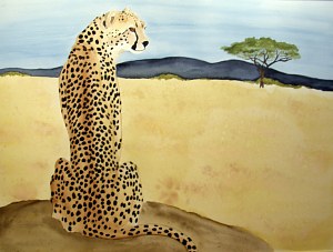 Ruth Tatter: Solo - Cheetah